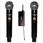 ARISTON WRL728 Διπλό ασύρματο μικρόφωνο χειρός